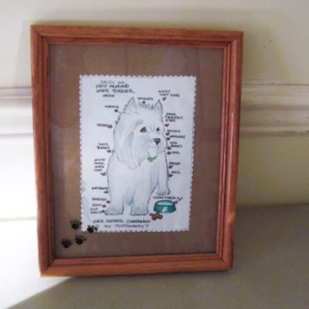 Poodle Art Picture~1996~Custom Drawn 9" X 11"~Daisy High Highland White Terrier